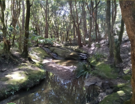 Bushland Park Creek