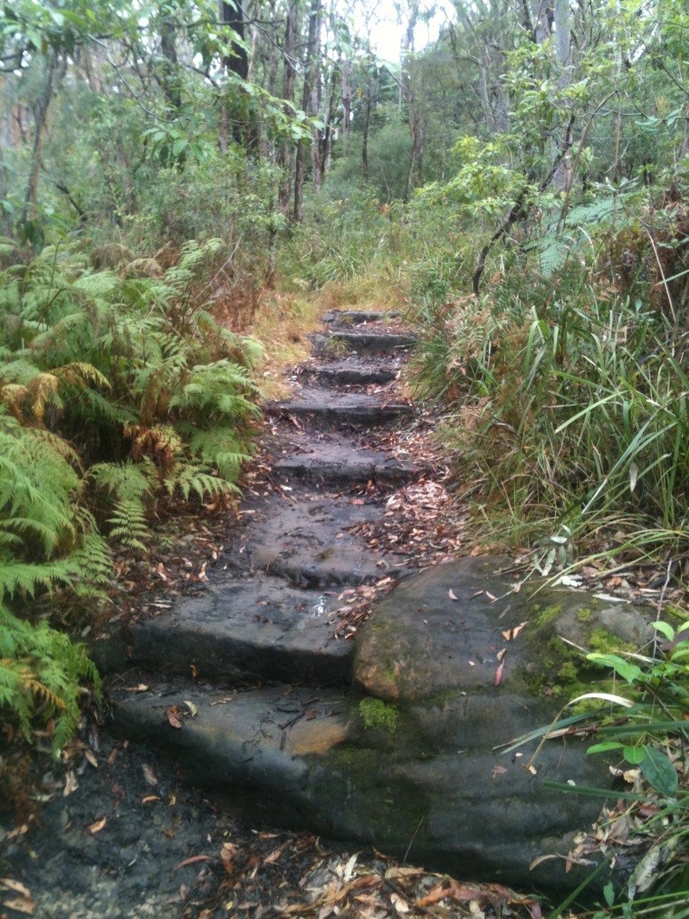 Sandstone steps in Warraroon Reserve.  S Forrest.